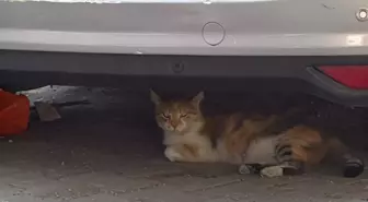 Kağıthane'de Balkon Çöktü, Olay Kayıt Altına Alındı