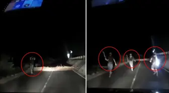 Korku filmlerini andıran görüntü! Aniden yola fırladılar, sürücü geri manevra yaparak kurtuldu