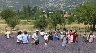 Adana'nın Lavanta Tarlaları Turizm Cenneti Oluyor