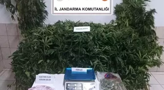 Sinop'ta Uyuşturucu Operasyonu: 2 Gözaltı, 1 Tutuklama