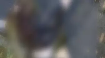 Samsun'da Sulama Kanalında Kadın Cesedi Bulundu