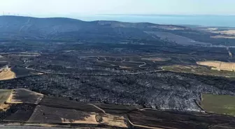 Tekirdağ'daki Yangın Gelibolu'ya Sıçradı