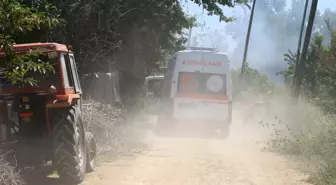 Tokat'ta Ahırda Çıkan Yangında 7 Büyükbaş Hayvan Öldü