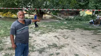 Piknikte Ağaç Daldan Yaralanan 11 Kişi Hastaneye Kaldırıldı