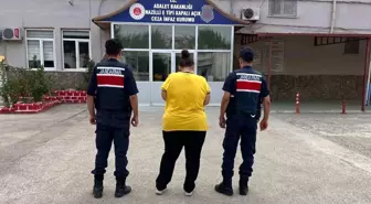 Aydın'da İki Aranan Şahıs Jandarma Tarafından Yakalandı