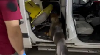 Batman'da 20 Kilo Esrar Ele Ge geçirildi