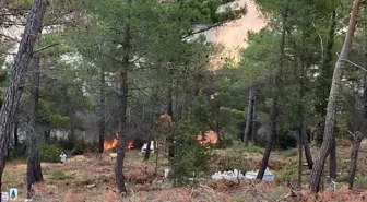 Çanakkale'de Orman Yangını Kontrol Altına Alınmaya Çalışılıyor