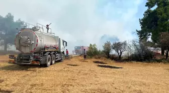 Çanakkale'de Orman Yangını Kontrol Altına Alındı