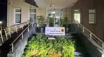 Sakarya'da Uyuşturucu Operasyonu: 9 Gözaltı, 1 Tutuklama