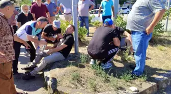 Giresun'da Trafik Kazası: 3 Yaralı