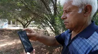 Kemer'deki Köpekbalığı Videosu Yalanlandı: Kayıtlara Dikkat!