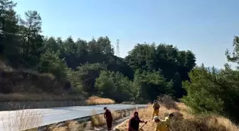 Marmaris'te Orman Yangınlarına Karşı Temizlik Çalışmaları Devam Ediyor
