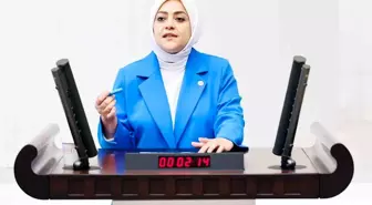 Sema Silkin Ün'den Şimşek'e Sert Eleştiri