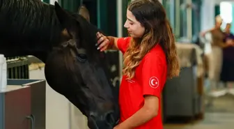 Milli binici Alin Yazıcı, Almanya'daki şampiyonadan dereceyle döndü: 'Hayalimdi, gururluyum'
