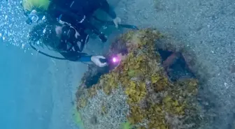 Ordu'da Patlamış Mayın Bulundu