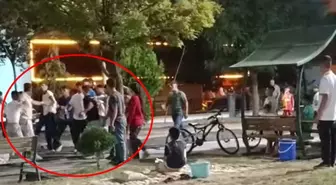 Siirt'te Parkta Kavga: Tekme ve Yumruklar Havada Uçuştu
