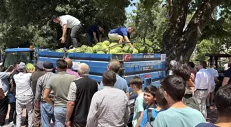 Erbaa'da Karpuz Hayrı: 10 Ton Ücretsiz Dağıtıldı