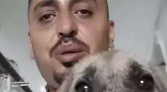 Kırıkhan'da Hayvanseverin Kahramanlığı: Mahsur Kalan Yavru Köpeği Kurtardı