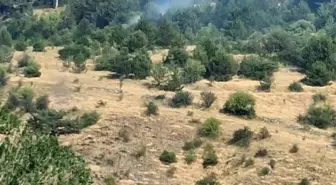 Bolu'da Yıldırım Düşmesi Sonucu İki Ayrı Yangın Kontrol Altına Alındı