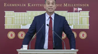 CHP'li Başarır: Zeytin ve Tarım Alanları Talan Ediliyor