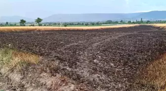 Yıldırımın Neden Olduğu Yangında Çiftçi Emeğini Kurtardı