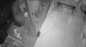 Fatih'te Kuyumcudan 600 Bin Dolar Değerinde Ziynet Eşyası Çalan Hırsızlar Yakalandı