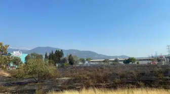 İzmir'de AVM Otoparkında Yangın: İki Araç Hasar Gördü