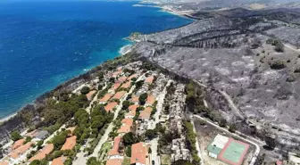 İzmir'deki Yangınlar Sonrası Erozyon Tehlikesi Uyarısı