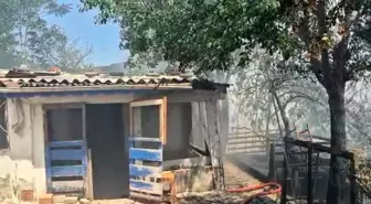 Sultangazi'de Otluk Alanda Çıkan Yangın İki Gecekonduyu Sıçrattı