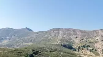 Uludağ Premium Ultra Trail'de Heyecan Dolu Anlar