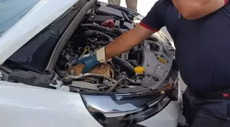 Muş'ta Sıkışan Yavru Kedi İtfaiye Ekipleri Tarafından Kurtarıldı