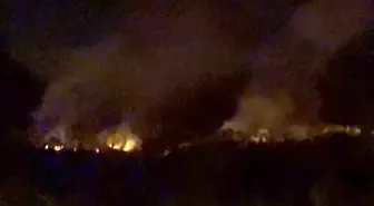 Bilecik'te Yangın: Buğday Tarlasından Ormana Sıçradı