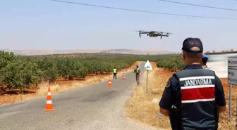 Gaziantep'te Antep Fıstığı Hasadında Hırsızlık Önlemleri Artırıldı
