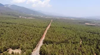 Karacasu'da Orman Yangınına Karşı Denetimler Sıkılaştırıldı
