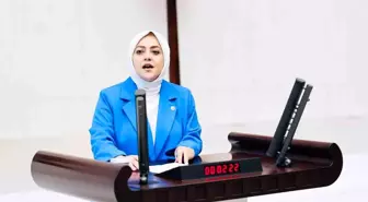 Gelecek Partisi Milletvekili Sema Silkin Ün'den Maden Yasasına Sert Tepki