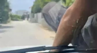 Adana'da Otomobilin Kaputunda Yolculuk Şaşkınlık Yarattı