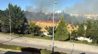 Eskişehir'deki Park Yangını Kontrol Altına Alındı