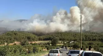 Sakarya'da Orman Yangını: Yangın Söndürme Helikopteri Sevk Edildi