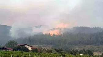Sakarya'da Orman Yangını: 8 Helikopter ve 5 Uçakla Müdahale