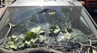 Şişli'de Kurumuş Ağaç Dalı Otomobilin Üzerine Düştü