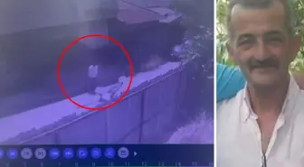 Sokakta yürürken 142 metre uzaklıktan ateşlenen havalı tüfek mermisiyle öldü