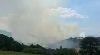 Uşak'ta Orman Yangını: Ekipler Müdahale Ediyor