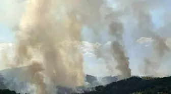 Uşak'taki Orman Yangınına Hava ve Kara Müdahelesi