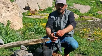 Koyun Otlatırken Kalp Krizi Geçiren Çoban Hayatını Kaybetti