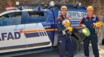 Kırık Ayağı Olan Leylek Tedavi Altına Alındı