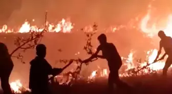 Hakkari'deki Boybeyi Köyü'nde Yangın Korkuttu