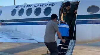 Acil Organ Nakli İçin Kalp Grefti Uçakla Taşındı