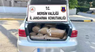 Mersin'de 100 Kilo Kaçak Tütün Ele Geçirildi