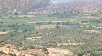 Aydın'da Makilik ve Zirai Alanda Yangın Çıktı