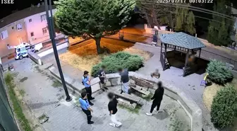 Yalova'da Zabıta Ekibi Çekirdek Kabukları İçin Parkta Temizlik Yaptırdı